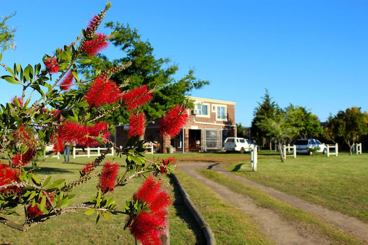 African Adventures Accommodation Durbanville Bagian luar foto
