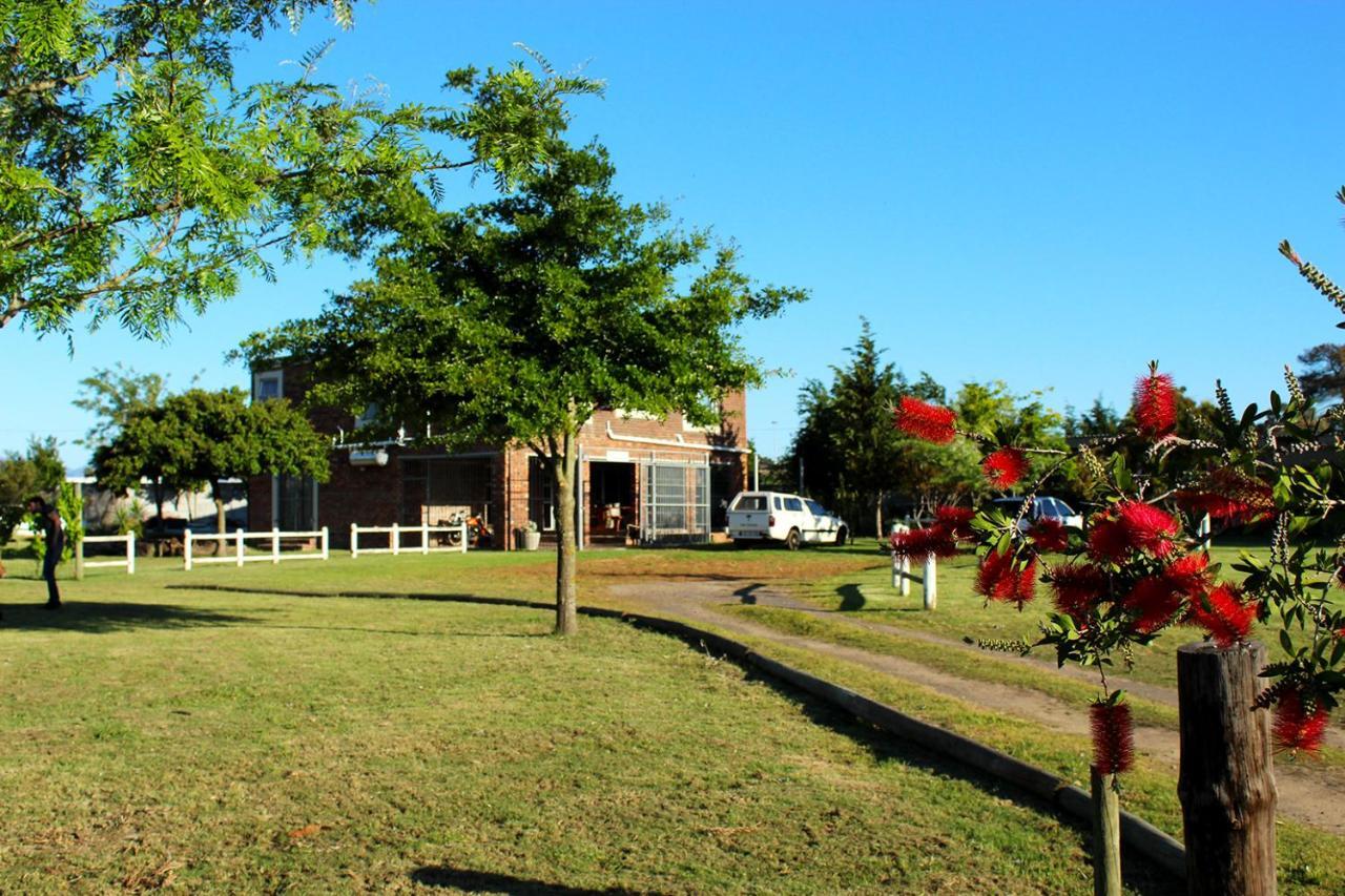 African Adventures Accommodation Durbanville Bagian luar foto