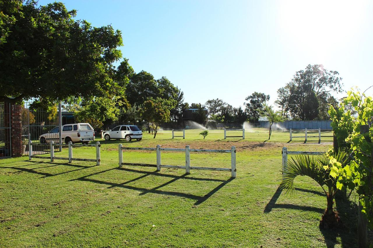African Adventures Accommodation Durbanville Bagian luar foto
